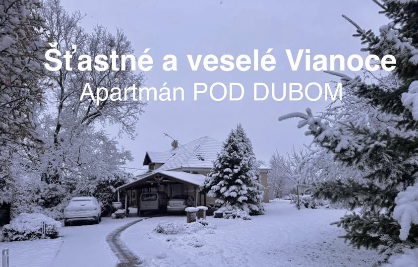 Vianoce v našom apartmáne